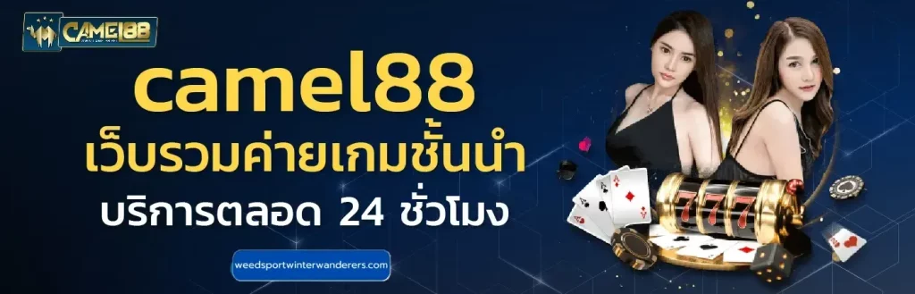 camel88.bet