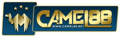 camel88 ทางเข้า
